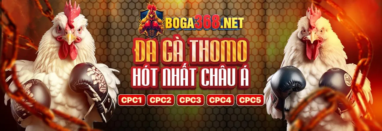Đá Gà Trực Tuyến VB9 Login